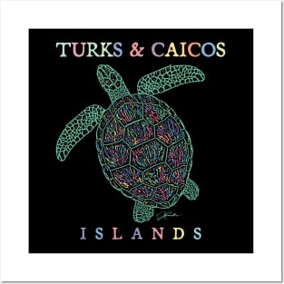 Turks & Caicos Islands Sea Turtle Posters and Art